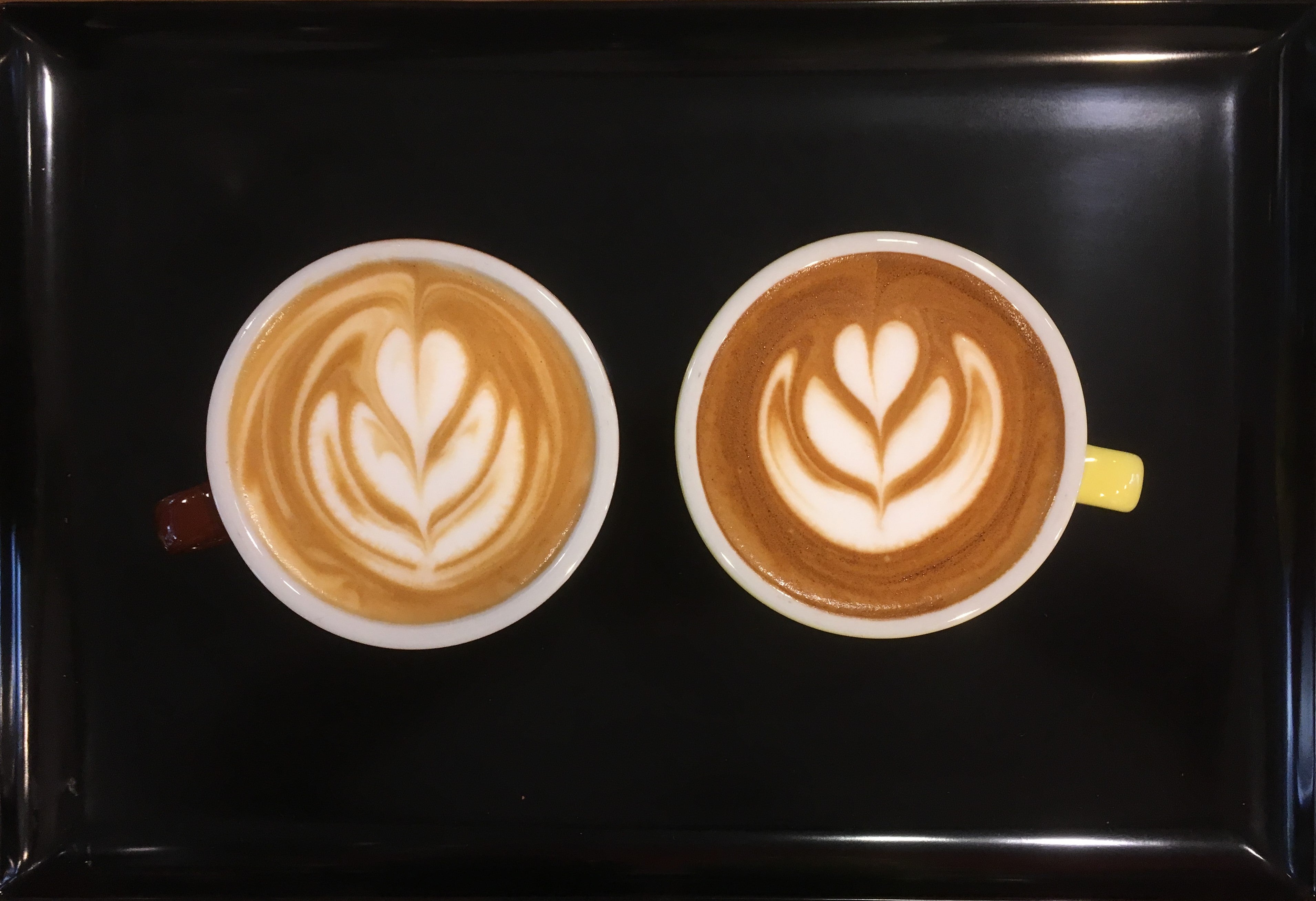 Barista - Barista tools Cyprus Espresso Coffee Latte Art